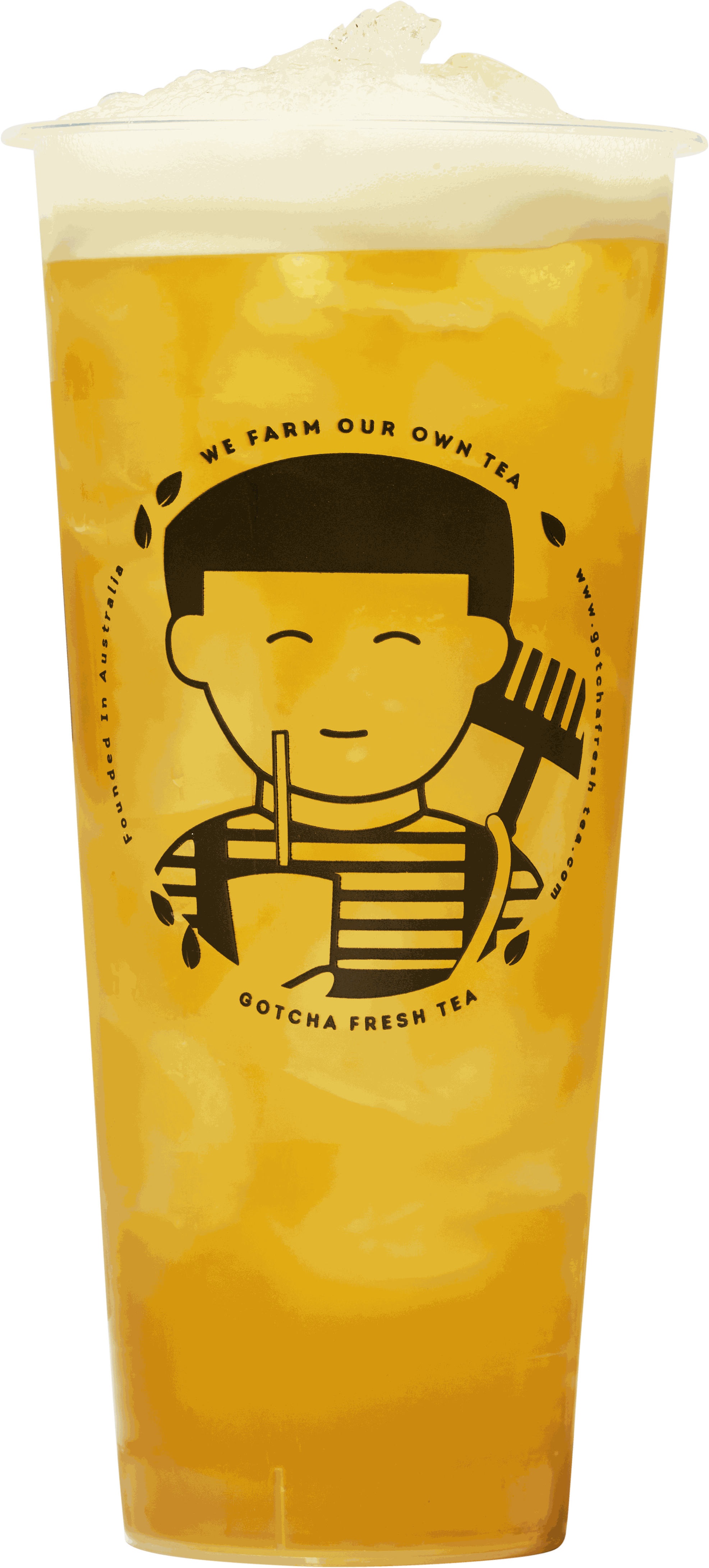 Premium Alishan Oolong Tea