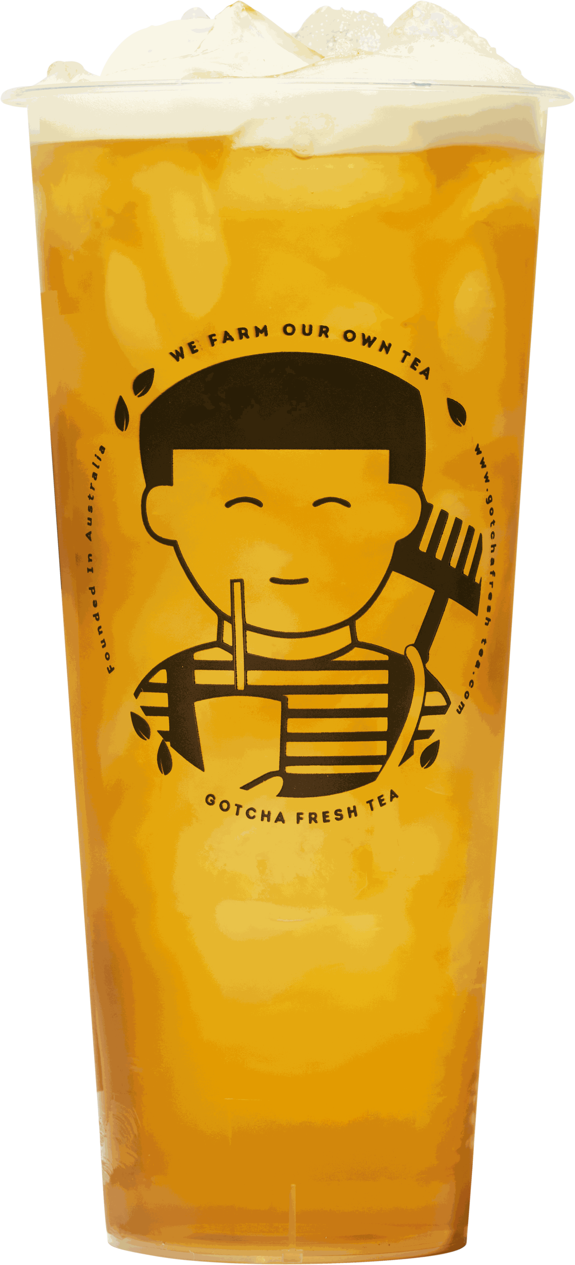 Premium Osmanthus Oolong Tea